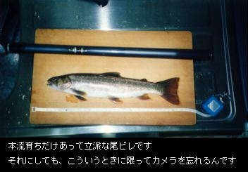 尺岩魚